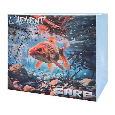 Ribiški adventni koledar 24 Days Xmas Countdown with Lure Baits Tackle Set za očeta