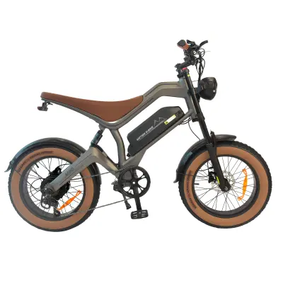 Električno kolo DYU M20, terensko, baterija 48 V 18,2 Ah, rjava