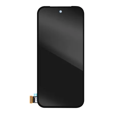 Google, Zunanji zaslon LCD za Google Pixel 9 Pro z zložljivim steklom na dotik, Črna