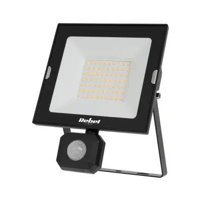 50W zunanji LED reflektor črn 4000K IP44 s senzorjem gibanja