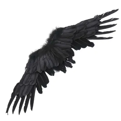 Black Angel Wings Halloween Cosplay Performance Prop Decoration Elastic Swallow Wings for Kids Children