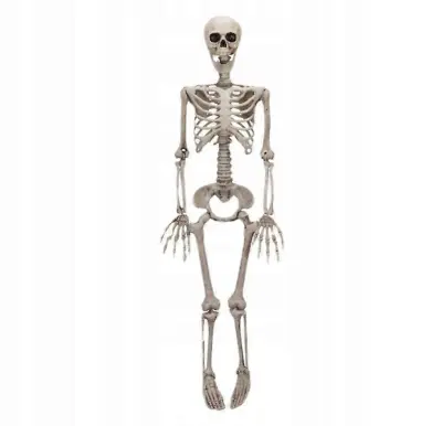 Skeletor Dekoracija Skeleton Halloween 90 cm