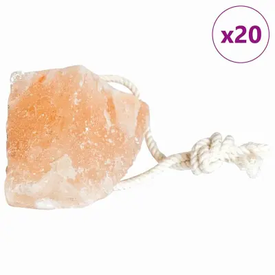 vidaXL Solne lickske kamenčke 20 pcs Roza Kamenje