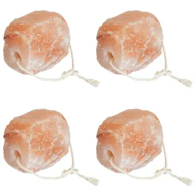 vidaXL Solne lickske kamenčke 4 pcs Roza Kamenje
