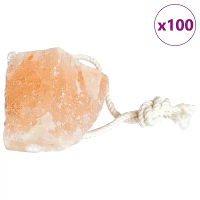 vidaXL Solne lickske kamenčke 100 pcs Roza Kamenje