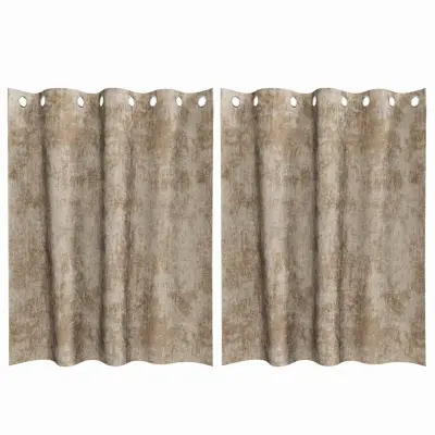 vidaXL Zavesa z zavesami 2 pcs Šampanjec 140 x 140 cm Žamet