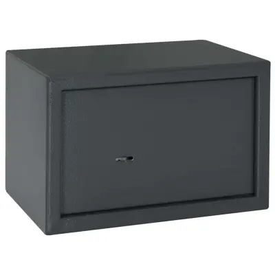 vidaXL Kasa s ključavnico 20 x 31 x 20 cm