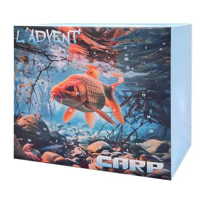 Ribiški adventni koledar 24-dnevni božični odštevalni koledar Fishing Lure Baits Tackle Set darilo za očeta