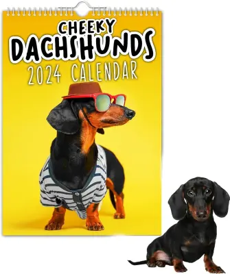 Cheeky Dachshunds - stenski koledar 2025, stenski koledar zabavnih psov, 100% nov