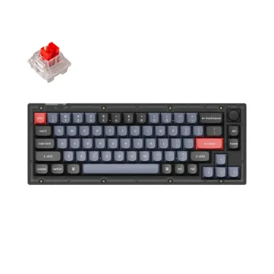 Keychron V2 QMK Ožičeni Mehanska tipkovnica / Matirana črna (prosojna) / K Pro Red / V2-C1