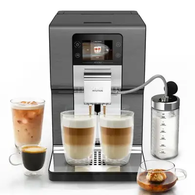 Krups Intuition Experience Hot&Cold kavni aparat, EA879NE0