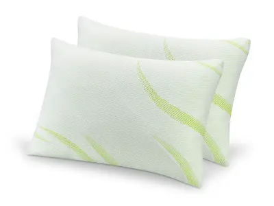 Komplet klasičnih vzglavnikov iz spominske pene DORMEO Aloe Vera 50x70 cm