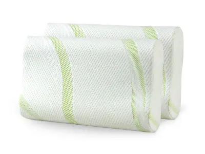 Anatomski vzglavnik iz spominske pene DORMEO Aloe Vera 2 kosa 30x50 cm