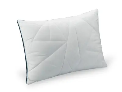 Klasični vzglavnik Dormeo Royal 50x70 cm