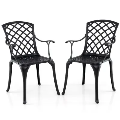 Set vrtnih stolov 2 kosa.