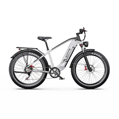 Električno kolo DUOTTS F26Lite, 26" debela pnevmatika, 48V 18Ah, srebrno