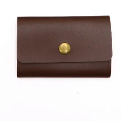 Velik PU usnjen etui za SD kartice za DSLR fotoaparate  S