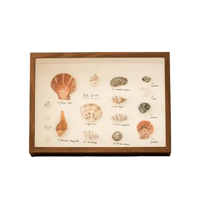 Okvir za razstavo školjk DIY - Kvadratni 8-palčni votli foto okvir Khaki