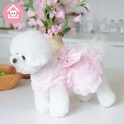 Eleganten ovratni pas za hišne ljubljenčke z barvnimi bloki - japonska in korejska moda Pink XS