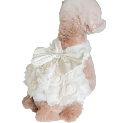 Eleganten ovratni pas za hišne ljubljenčke z barvnimi bloki - japonska in korejska moda Champagne XXXL