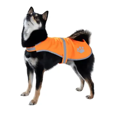 Odsevni varnostni jopič za hišne ljubljenčke - Visoka vidljivost, proti izgubi Orange M