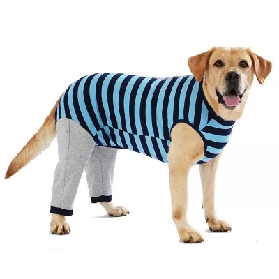 Oblačila za pse Corgi Teddy - Jesenska in zimska oblačila za male in velike pse Blue L