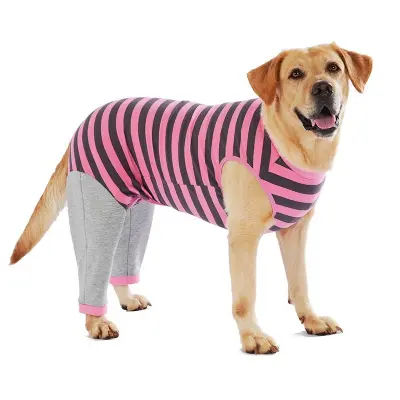 Oblačila za pse Corgi Teddy - Jesenska in zimska oblačila za male in velike pse Pink L