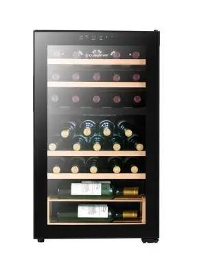 CLIMADIFF Vinska vitrina CEPAGE33DZ