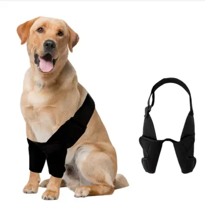 Podpora za sklepe in okrevanje - Dvojna opornica za kolena za sprednje noge hišnih ljubljenčkov  XL