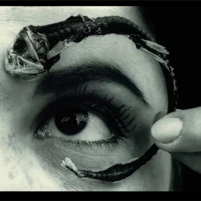 Mr. Bungle - 2LP/Disco Volante