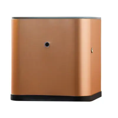 Aroma difuzor iz kovine v rožnato zlati barvi (Bluetooth + WiFi) EU vtič Gold