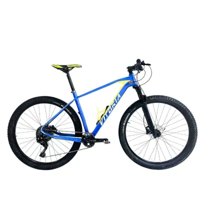 Obnovljeno - kot novo - Gorsko kolo Vitoria Sioux SL29 Shimano XT 12s velikosti ML
