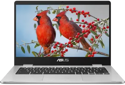 Odprta emb - Prenosnik ASUS ChromeBook C424MA-BV0305 / Intel® Celeron® / RAM 4 GB / 14,0″ HD
