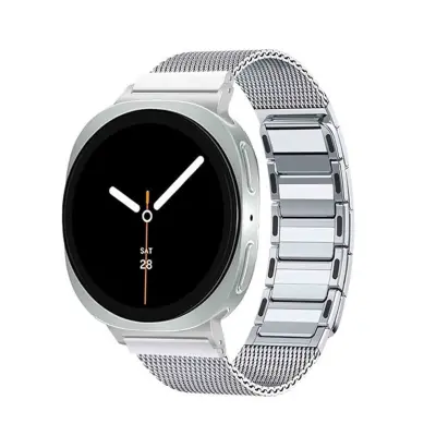 Združljiv z Samsung Watch8/8 Classic magnetni jekleni pašček - več barv Silver
