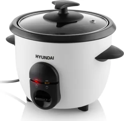 Pečica za pizzo Hyundai RC060 z avtomatskim kuhanjem