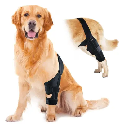 Oprijem za zlom zadnje noge hišnega ljubljenčka - standardni model za okrevanje po poškodbi  S