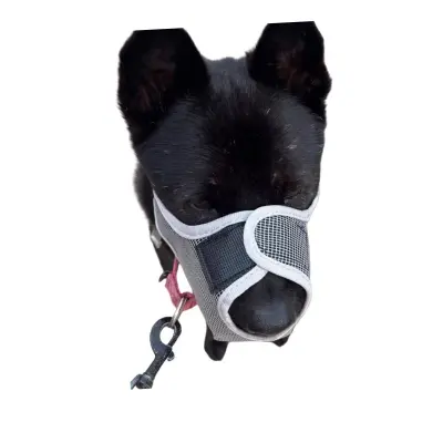 Mreža za preprečevanje požiranja: Zračna pasja nagobčnica za varnost in trening  S