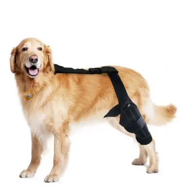 Opora za zadnjo nogo psa s podpornim trakom - okrevanje po zlomu in poškodbi  L