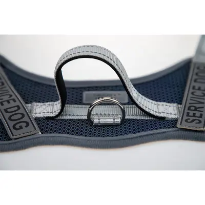 Pasja oprsnica: Udobna in odsevna DarkBlue L