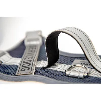 Pasja oprsnica: Udobna in odsevna DarkBlue XS