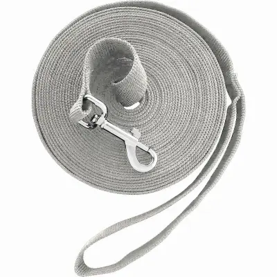 20ft Dolga Vrvica za Usposabljanje Psov na Prostem - Vrvica za Odpoklic Grey