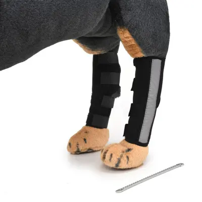 Opora za koleno za pse za podporo sprednje križne vezi  Opora za nogo za pse za zaščito pred poškodbami  L