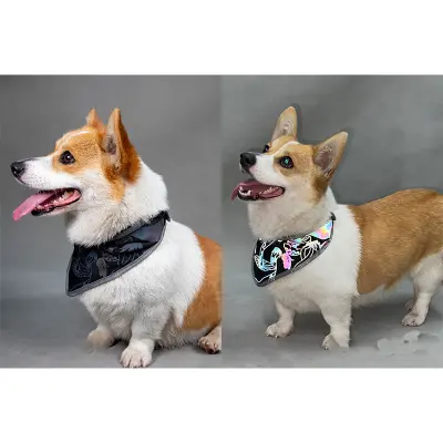 Odsevna rutka za hišne ljubljenčke, nastavljiva velikost Black S