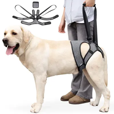Zunanji pas za podporo zadnjih nog psov - pripomoček za mobilnost za poškodovane in starejše pse  L