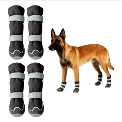 Komplet 4 pasjih čevljev - Zaščitni športni čevlji za male in velike pse  M