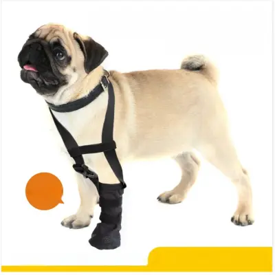 Zaščita Pasjih Tačk z Ovratnico - Zaščita Pred Poškodbami in Lizanjem  L