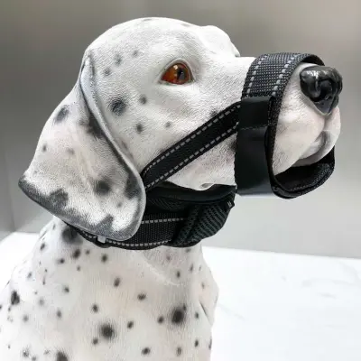 Črna nagobčnica za pse z nastavljivim ovratnikom - proti grizenju in laježu  L