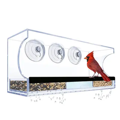 Pravokotni podajalnik za ptice: Kristalno čist akril z močnimi priseski