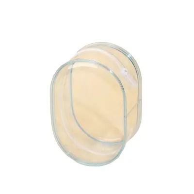 Kozmetična torbica z zvončkom in puhasto kroglico - Organizacija in stil Blue