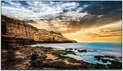 SAMSUNG prikazovalnik QE65T